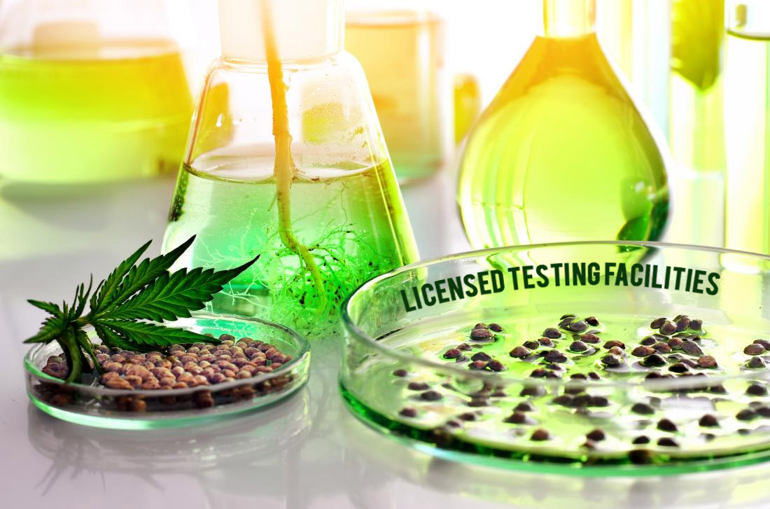 licensed-cannabis-testing-facilities