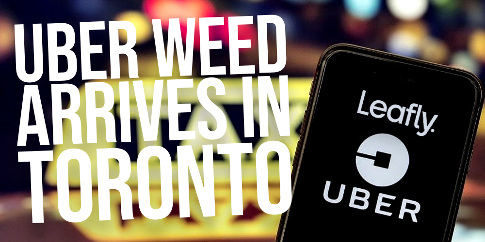 Uber Eats and Leafly associate to carry hashish supply to Torontonians